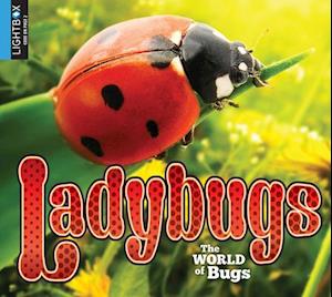 Ladybugs