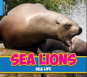 Sea Lions