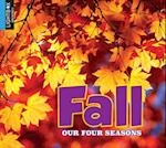 Fall