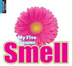 Smell