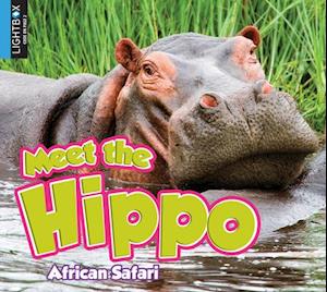 Meet the Hippo