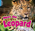 Meet the Leopard