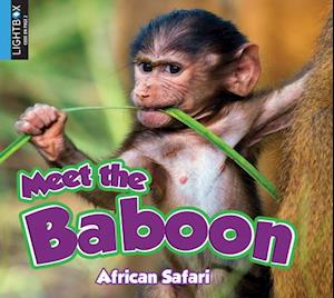 Meet the Baboon