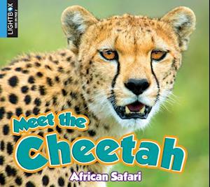 Meet the Cheetah