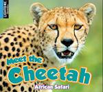 Meet the Cheetah