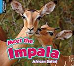 Meet the Impala