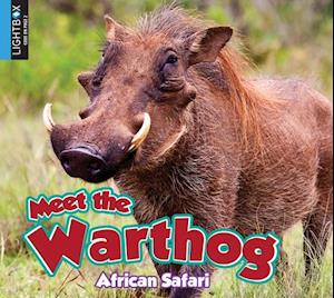 Meet the Warthog