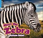 Meet the Zebra