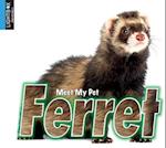 Ferret