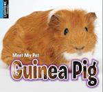 Guinea Pig