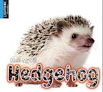 Hedgehog