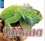 Iguana