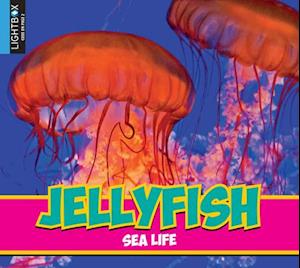 Jellyfish