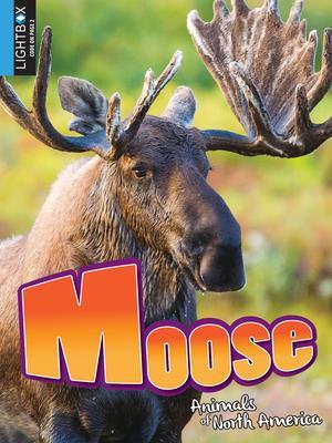 Moose