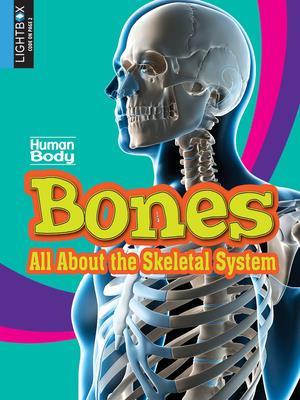 Bones