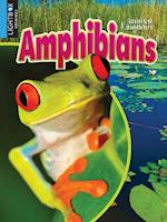 Amphibians