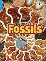 Fossils