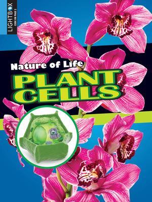 Plant Cells