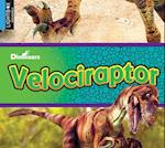 Velociraptor