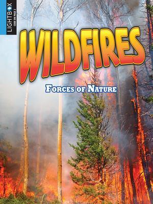 Wildfires