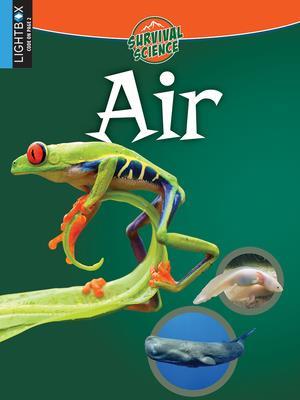 Air