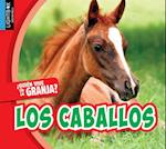 Los Caballos