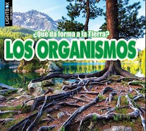 Los Organismos