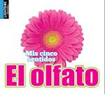 El Olfato