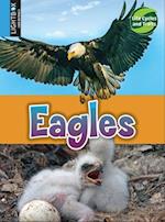 Eagles