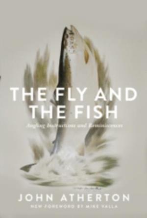 Fly and the Fish