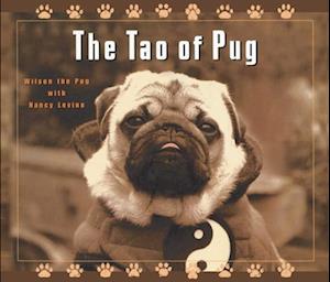 Tao of Pug
