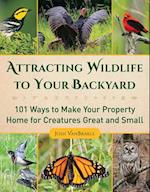 Attracting Wildlife to Your Backyard