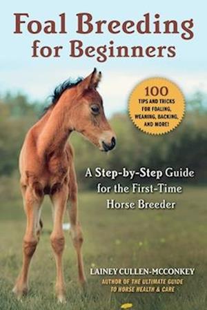 Foal Breeding for Beginners