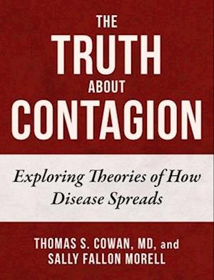 The Truth about Contagion