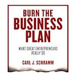 Burn the Business Plan