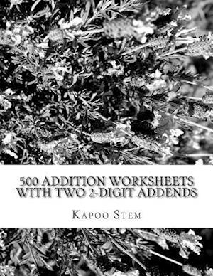 500 Addition Worksheets with Two 2-Digit Addends