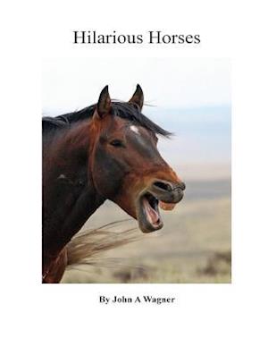 Hilarious Horses