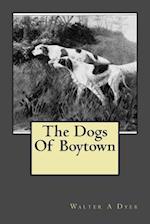 The Dogs of Boytown
