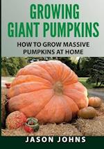 Growing Giant Pumpkins - How To Grow Massive Pumpkins At Home: Secrets For Championship Winning Giant Pumpkins 