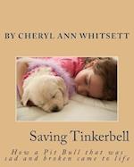 Saving Tinkerbelle