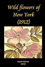 Wild Flowers of New York (1912)