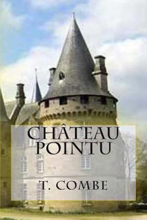 Chateau Pointu