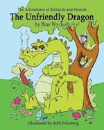 The Unfriendly Dragon