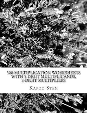 500 Multiplication Worksheets with 5-Digit Multiplicands, 2-Digit Multipliers