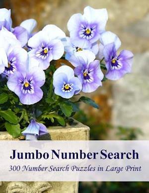 Jumbo Number Search