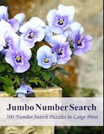 Jumbo Number Search