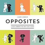 Learn Hebrew Opposites