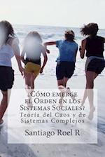 ¿cómo Emerge El Orden En Los Sistemas Sociales?