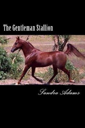 The Gentleman Stallion