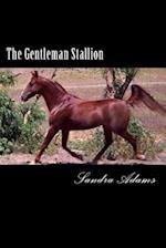 The Gentleman Stallion
